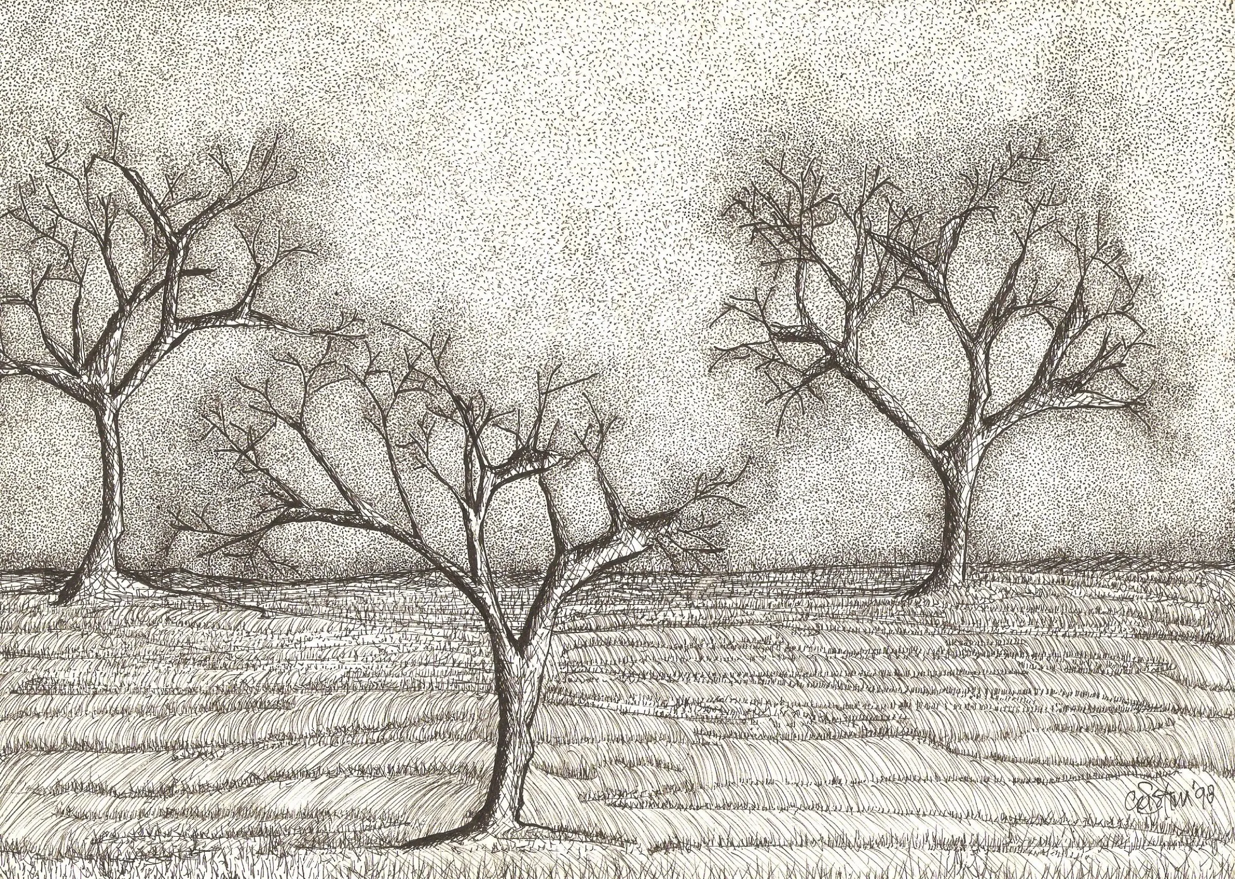 Trees Under the Moonlight — obra de Cristina Sevilla